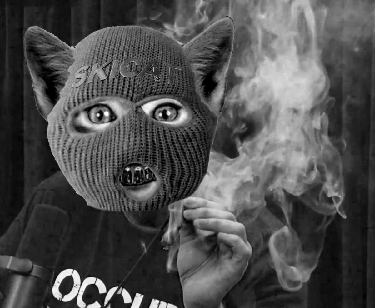 skimaskcatx's tweet photo. Smoking Ski Musk Cat, Ski Mask Cat $SKICAT https://t.co/G2r95YAgjC