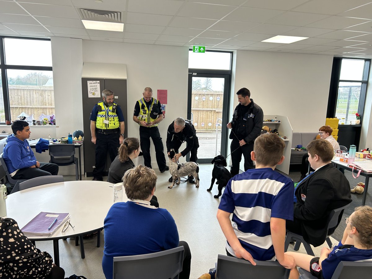 Whitmore High School Autism Base tweet media