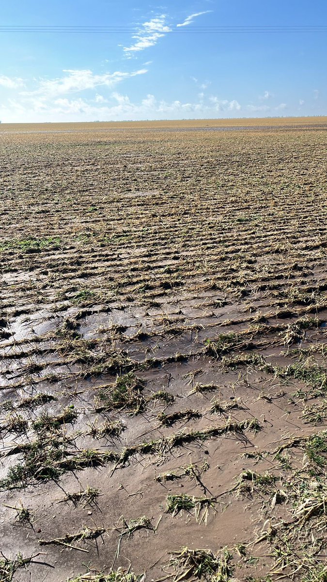 agrovetpra's tweet photo. Seguí en sumando has destruidas ya van más de 5000 más galpones y tinglados ..ah no estánban viendo chapaleufu  estaban arriesgando su capital para que el estado se lleve el 70% https://t.co/6WszY1paPq