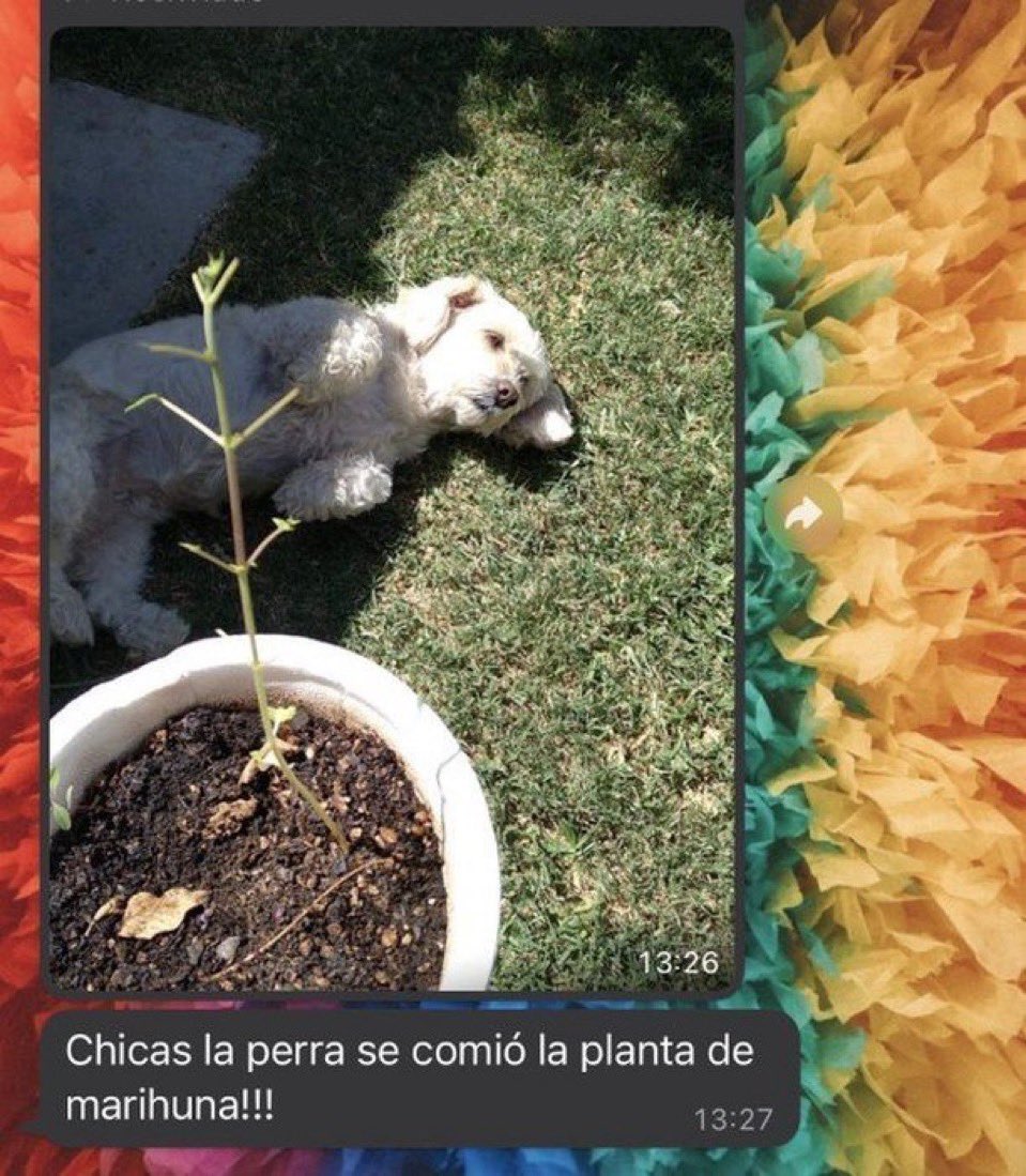 trabesties's tweet photo. https://t.co/OWyGnAHiVM