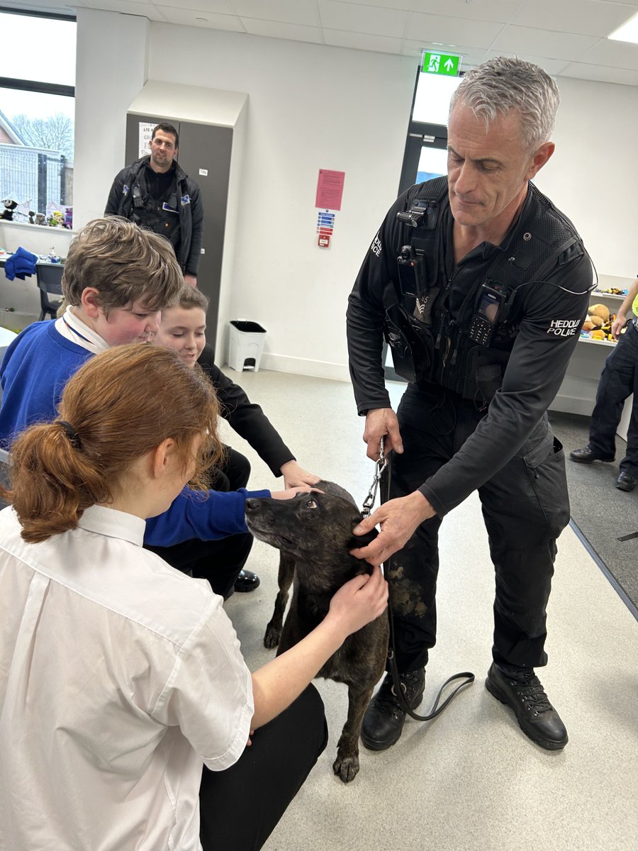 Whitmore High School Autism Base (@whitmorebase) on Twitter photo We had a great afternoon with <a href="/swpolice/">South Wales Police</a> and their working police dogs. Thank you to Sergeant Mark and the team for talking to us about all the incredible work you do! 👮👮♀️🚔 @WHSdog <a href="/WhitmoreHigh/">Whitmore High School</a> We had a great afternoon with <a href="/swpolice/">South Wales Police</a> and their working police dogs. Thank you to Sergeant Mark and the team for talking to us about all the incredible work you do! 👮👮♀️🚔 @WHSdog <a href="/WhitmoreHigh/">Whitmore High School</a>