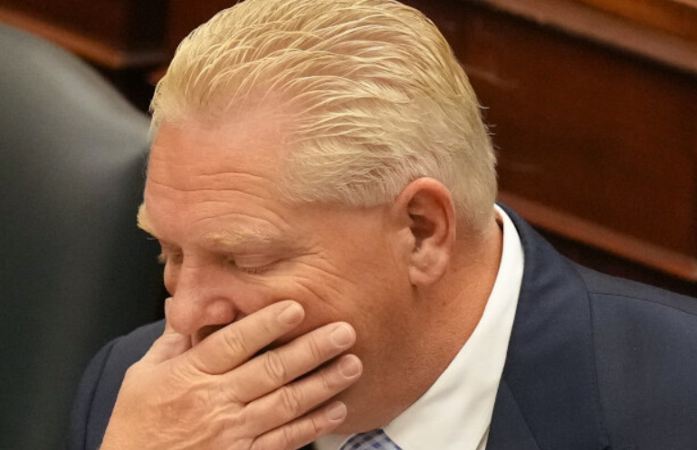 TDot Resident tweet media