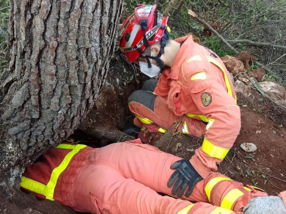 plataforma_NAC's tweet photo. 🔴 Los bomberos de Xàtiva rescatan a un #podenco atrapado en una madriguera de conejos
El #perrodecaza llevaba dos días atrapado en una madriguera debajo de de un árbol
Noticia: https://t.co/3b4Q1KbwVA
#NoAlaCaza
#VictimasDeLaCaza
#LaVerdadDeLaCaza
#ElCasoAisladoDelDia https://t.co/M8tkINpTVa