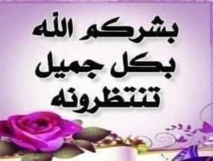 مصطفى الخولاني tweet media