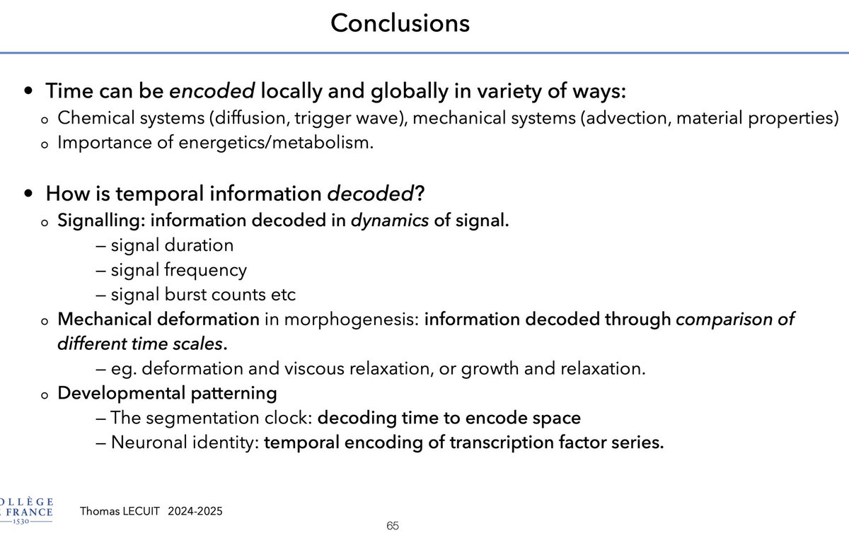 TLecuitLab (@lecuitlab) on Twitter photo ⬇️ link to pdf/video of 4th lecture <a href="/cdf1530/">Collège de France</a> 😊: "Encoding, decoding and representations of Time". I discuss global & local tuning of biological timescales. Information decoded from dynamics can be quantified & is rich. Ex in vitro and in vivo. Enjoy!
tinyurl.com/2n8n3s9u ⬇️ link to pdf/video of 4th lecture <a href="/cdf1530/">Collège de France</a> 😊: "Encoding, decoding and representations of Time". I discuss global & local tuning of biological timescales. Information decoded from dynamics can be quantified & is rich. Ex in vitro and in vivo. Enjoy!
tinyurl.com/2n8n3s9u