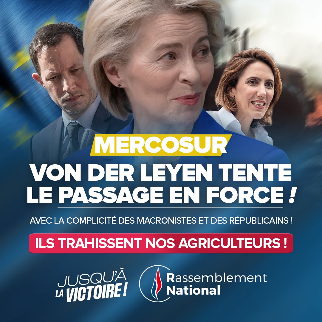 Rassemblement National tweet media