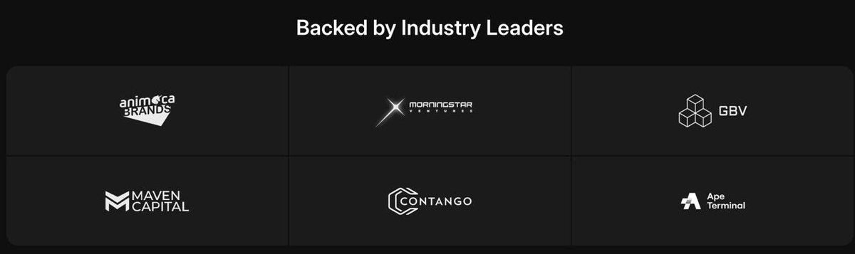 brunosanmartin tweet media