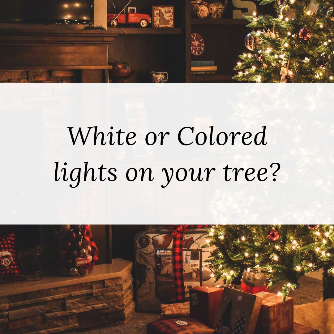 kickenlorie's tweet image. Do you prefer white or colored lights on your tree? Each brings a unique magic to the season! Share your choice! #HolidayLights #TreeDecor #FestiveFavorites #WhiteVsColored
