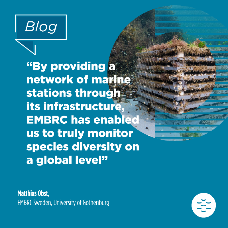 EMBRC_EU's tweet photo. #EMBRCBlog | 👉 How an underwater hotel is helping to identify #MarineBiodiversity hotspots
Thanks to EMBRC’s #EMOBON, researchers may have discovered where ocean biodiversity richness comes from.
🔗 For more, read our Q&A with co-author @MatthiasObst @goteborgsuni @NatureComms
