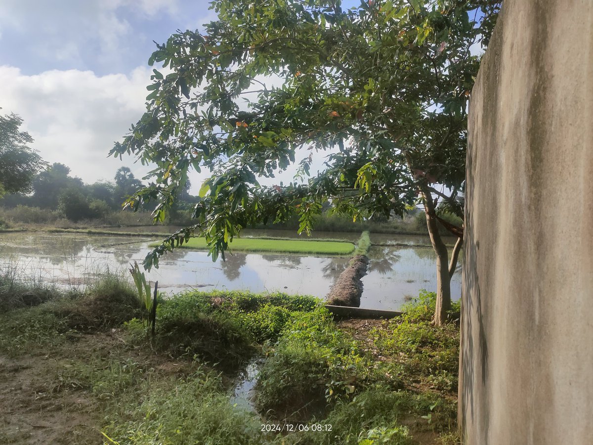 MargamFarm's tweet photo. Dec 2024 after Fengal cyclone.... https://t.co/ZB00o5yYJl