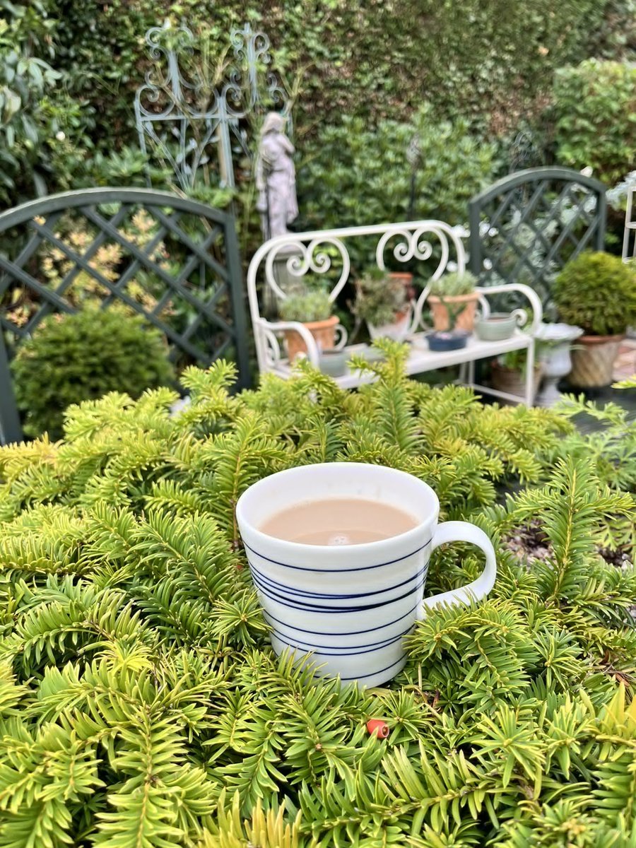 mrantoniopeters's tweet photo. Have a coffee in the garden and sit on a bench for a few minutes. I highly recommend it. #gardeninglife https://t.co/fiNGMtDfax