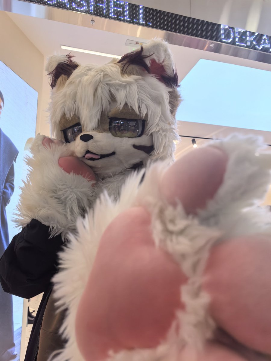 MuShang_Aki's tweet photo. #FursuitFriday

是想摸摸爪子嘛？当然可以喔w https://t.co/DbXGTtV8wo