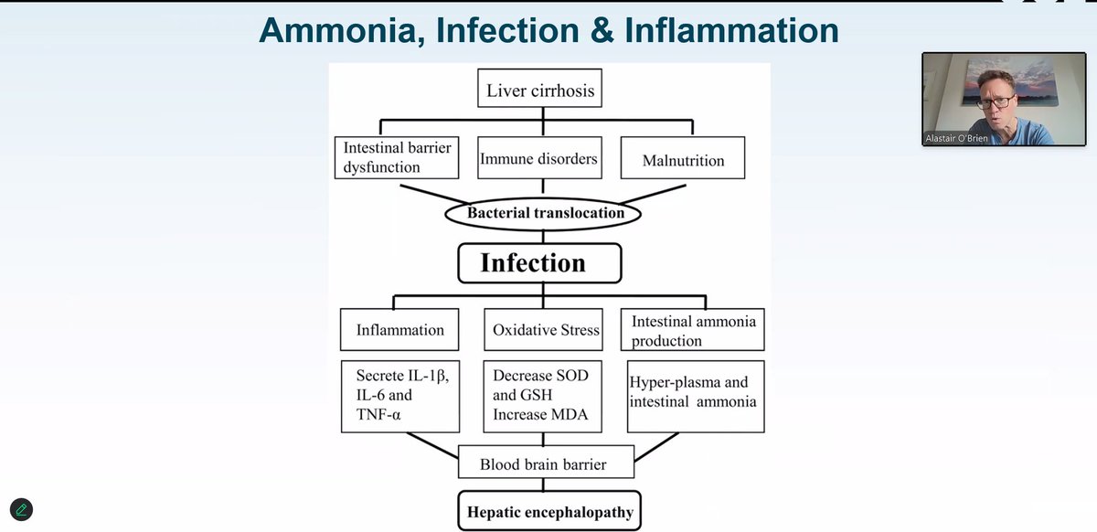Professor Alastair O'Brien with a walkthrough of the association between sepsis and HE, including treatments.
Key points:
- Sepsis is highly prevalent in HE
- Extremely complex immune dysregulation in cirrhosis
- Is broad-spectrum AB causing harm in cirrhosis?