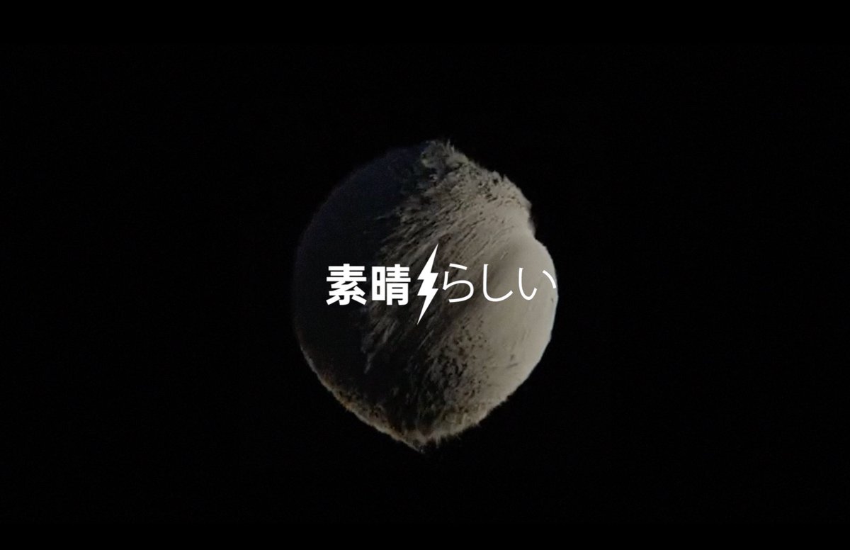 SJD__'s tweet photo. @Subarashii_lab ⚡️ #serapis #subarashii https://t.co/Gkl51SpVuS