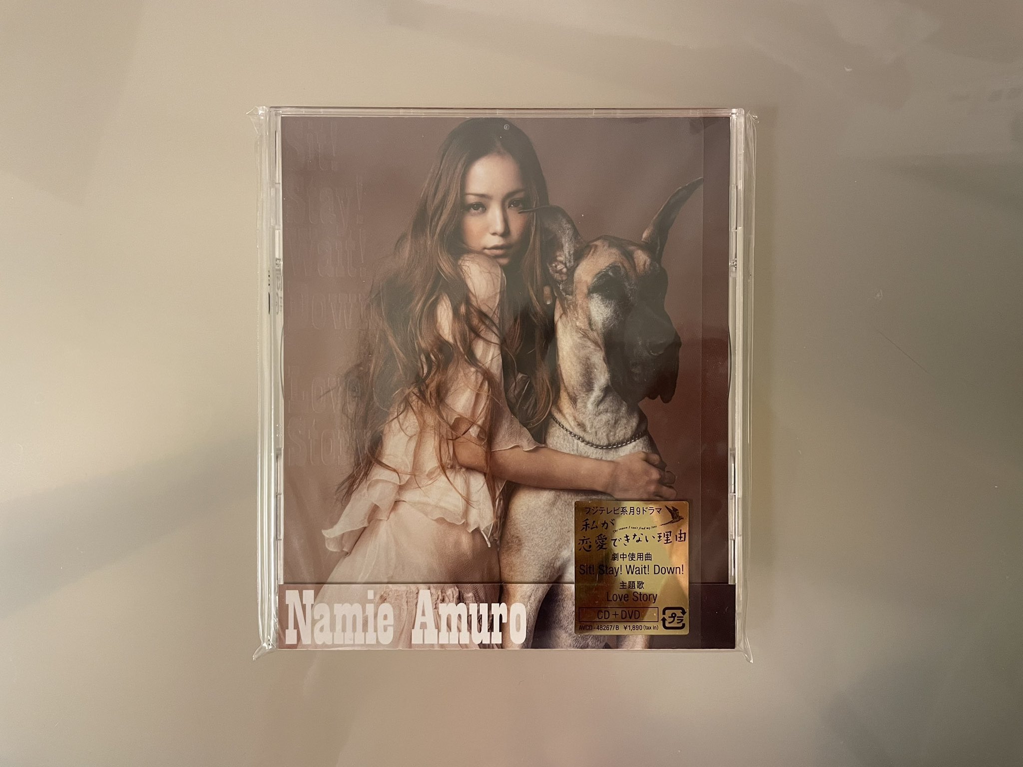安室奈美恵 告知ポスター love story sitstaywaitdown Sit!Stay