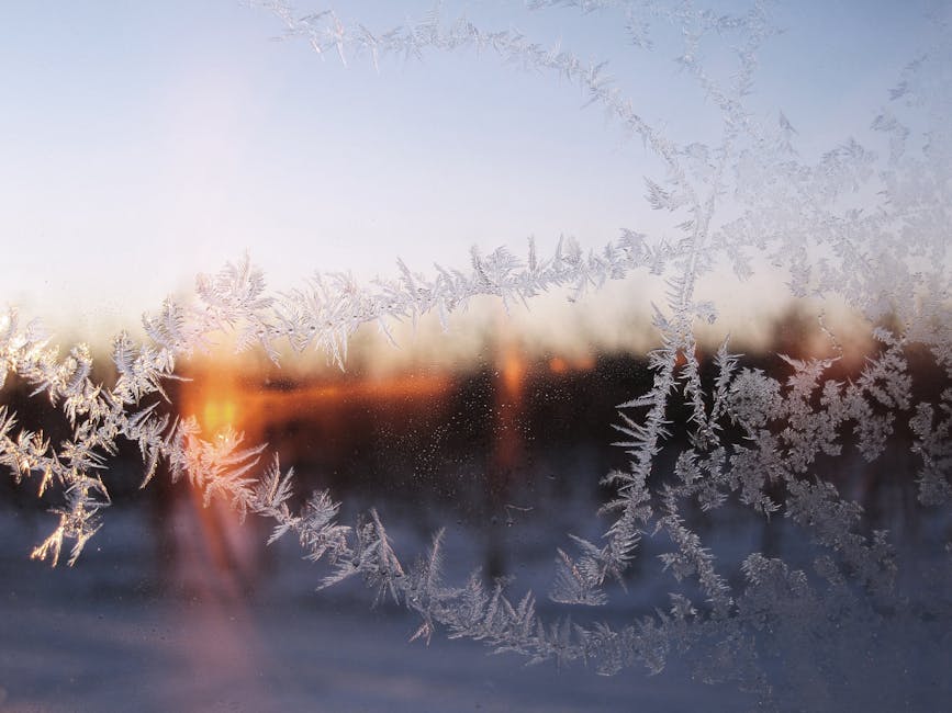 When stressed, our window of tolerance shrinks. How can we widen it? The <a href="/RecoveryDorset/">Dorset Recovery Education</a> team has a video and workbook to help you explore emotions and stay within your window. Visit dorsethealthcare.nhs.uk/patients-and-v… and scroll to 'Window of Tolerance'
#stress #grounding #techniques