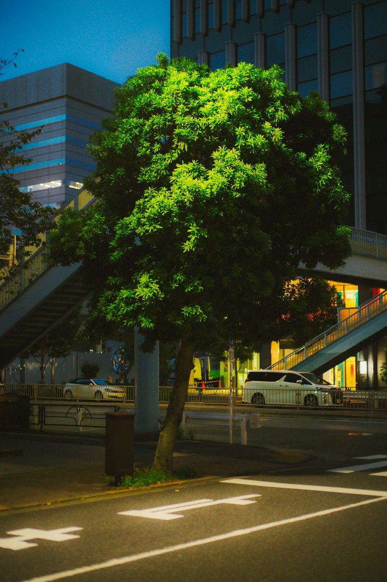 fvckrender's tweet photo. Tokyo// 2023 https://t.co/YLxE8hscu7