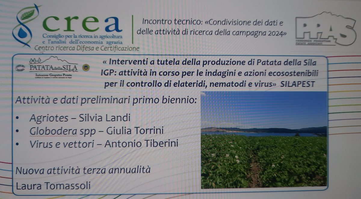 Giulia Torrini tweet media