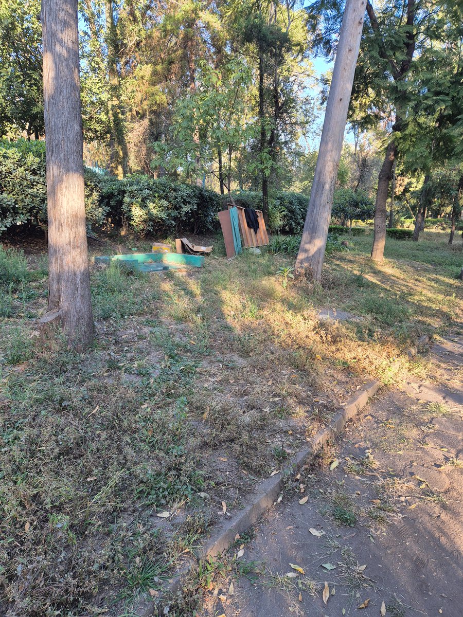 Denuncio_queja's tweet photo. @mauriciotabe @luisag_urena @PAN_CDMX el Parque Lira donde está la @AlcaldiaMHmx está ABANDONADO, ESTA HECHO UN ASCO y @OlaMHmx solo arregla por donde ve la suegra y así le hacen creer a la gente que está bien cuidado y es una vil MENTIRA https://t.co/EN4Y07M0u1