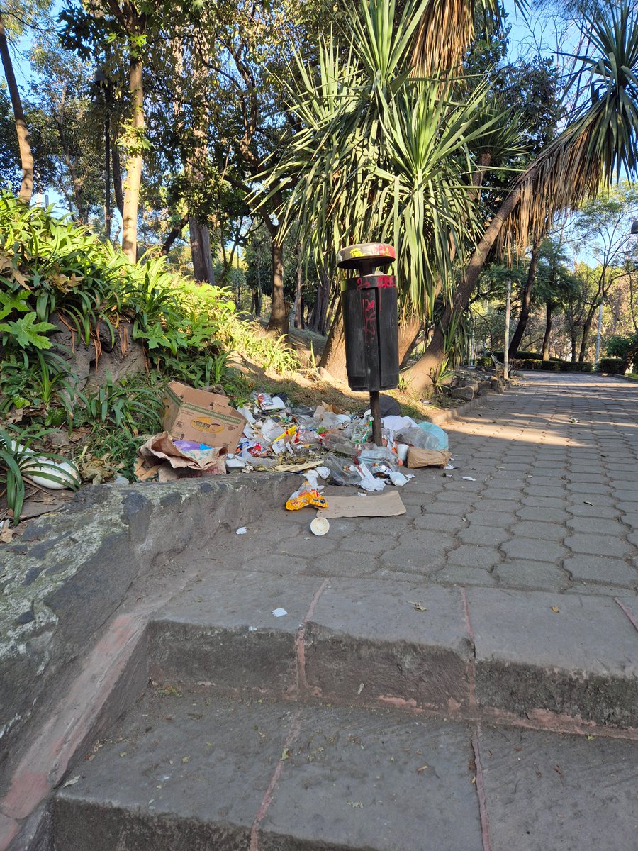 Denuncio_queja's tweet photo. @mauriciotabe @luisag_urena @PAN_CDMX el Parque Lira donde está la @AlcaldiaMHmx está ABANDONADO, ESTA HECHO UN ASCO y @OlaMHmx solo arregla por donde ve la suegra y así le hacen creer a la gente que está bien cuidado y es una vil MENTIRA https://t.co/EN4Y07M0u1