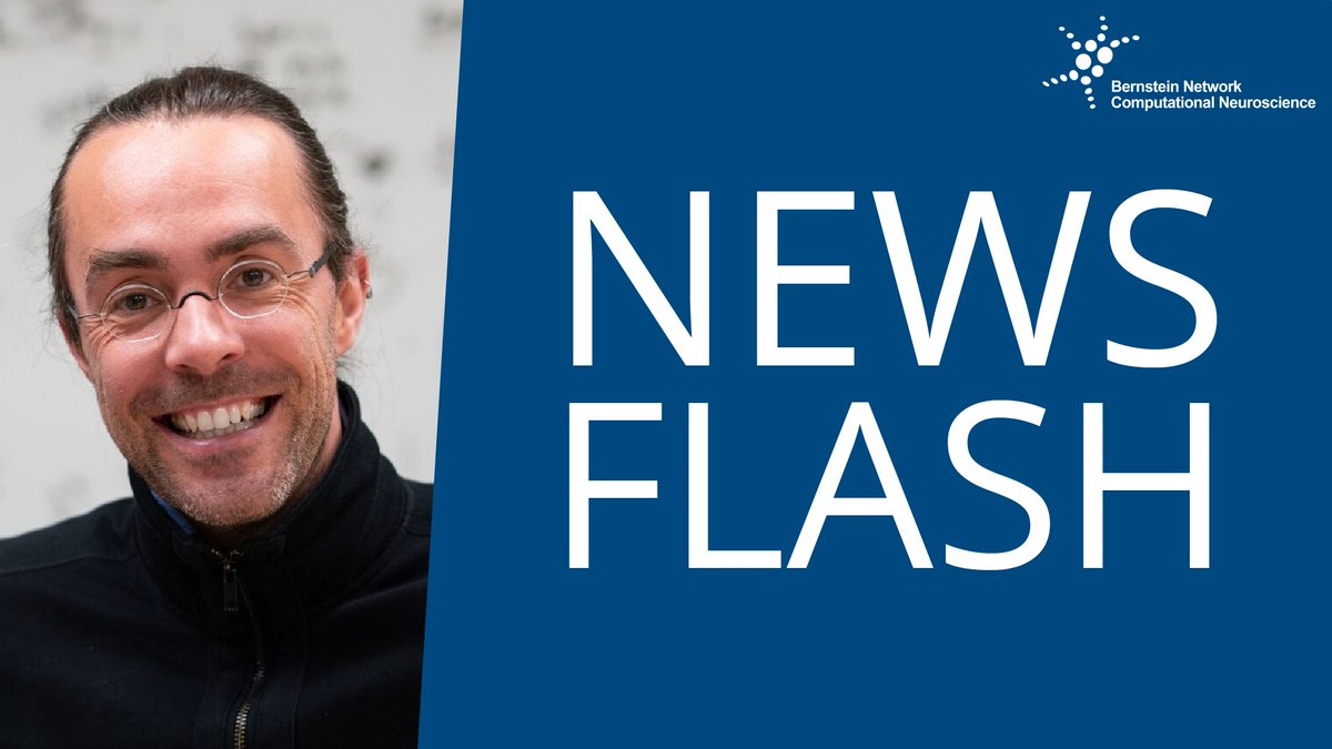 Bernstein Network Computational Neuroscience tweet media