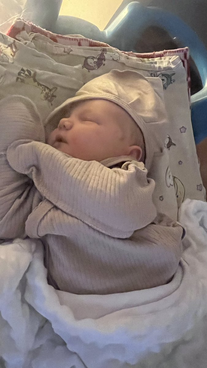 Jens Peeters tweet media