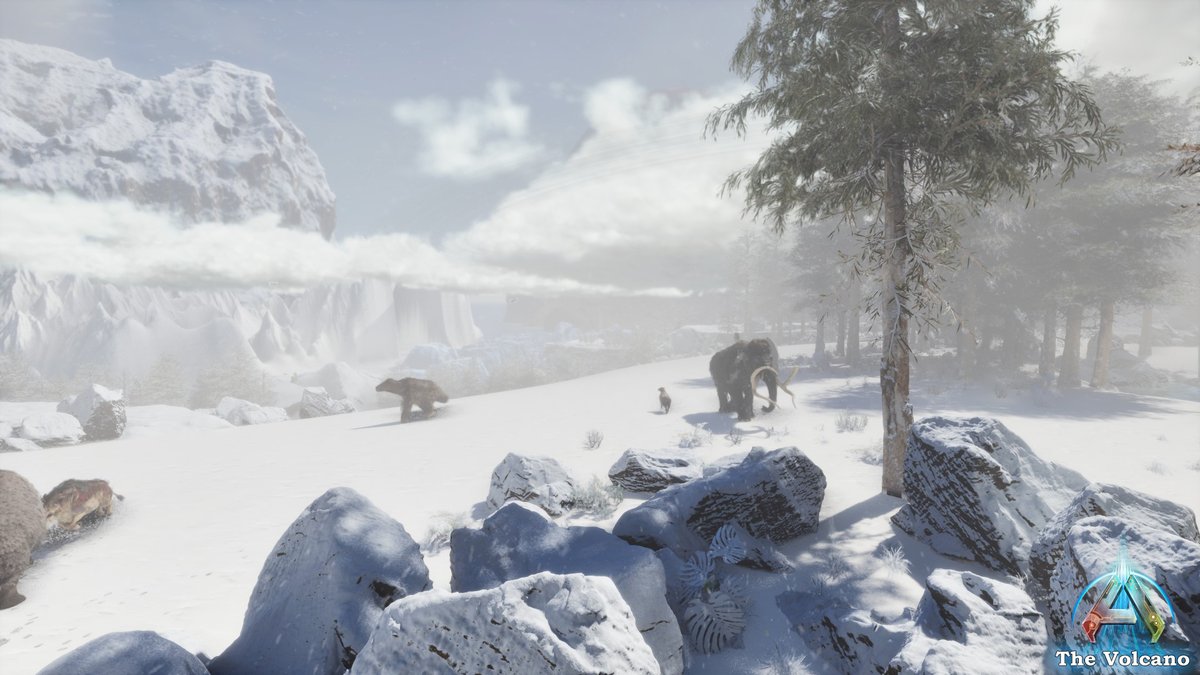 sicco0803's tweet photo. With the last work and tests this week for the release of #TheVolcano map for #ASA , i will share what to come.
I will release The Volcano first as a free version and sometimes later as a premium version.
For the free version the entire landmass is playable with almost all dinos available in ASA, some will be added a bit later. Also there will be 3 caves and 1 boss in the free version. For the release there will be 2 caves the 3rd will be added in a update later.
For the premium version there will be also 4 outer landmasses with more content, more caves, custom bosses and map buildings and many more.
There's also a Additions mod in the works, but because of right now not fixable issues it will be delayed until the issues can be fixed.
More info about the release soon.
@survivetheark @Jatheish @comfywarlock @NotDollie @CurseForge @Nitrado #playARK