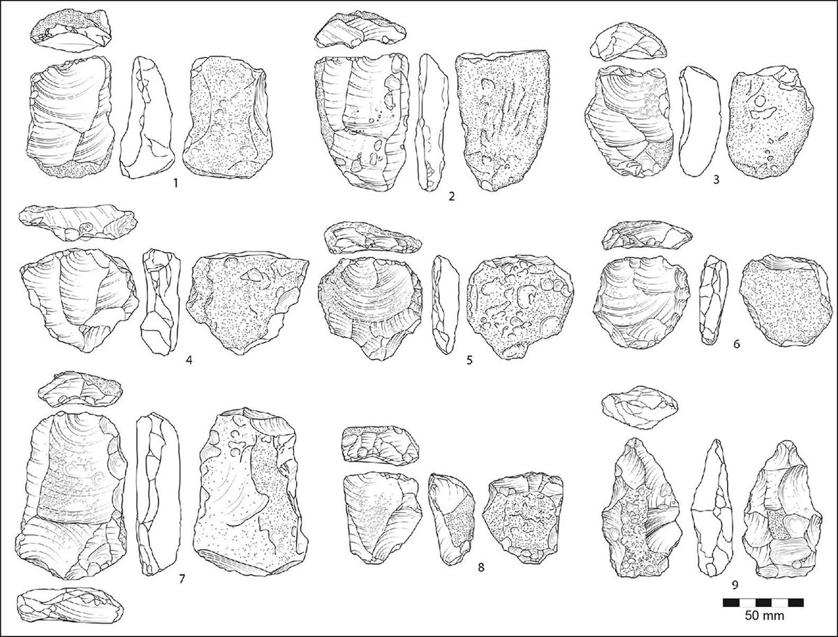 🅰ntiquity Journal (@antiquityj) on Twitter photo These beautiful illustrations depict Levallois lithics from the Huqf region of Oman. This is the first evidence for Middle Palaeolithic activity in the region, proving early hominins also occupied south-eastern Arabia. #FlintFriday
🆓 buff.ly/4eGc6rl These beautiful illustrations depict Levallois lithics from the Huqf region of Oman. This is the first evidence for Middle Palaeolithic activity in the region, proving early hominins also occupied south-eastern Arabia. #FlintFriday
🆓 buff.ly/4eGc6rl