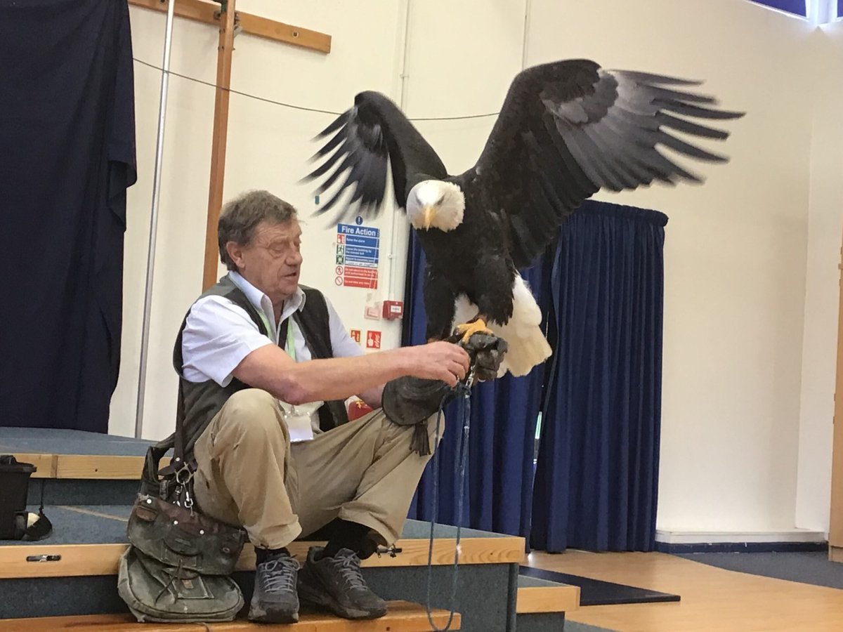 FawleyInfants's tweet photo. What a fantastic week we have had here! From an exciting visit from the Bird Man, a performance from Praizin' Hands, some of the children performing nativity songs to the local community and our Christmas craft day today. We are well and truly in the festive spirit! https://t.co/4nSRt7Sss0