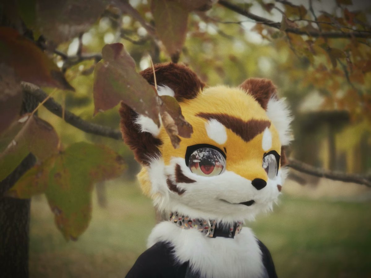 函数w (@halculus2) on Twitter photo 