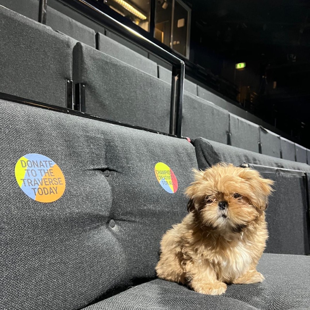 Traverse Theatre tweet media