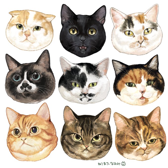 推しネコチャン
@mameopy @deriku4  @sijinomix0343
@tanu_mfmf @_aya_bass_ @MOBILEiwasi
@tamamaru @myaahcw27 @jz5 