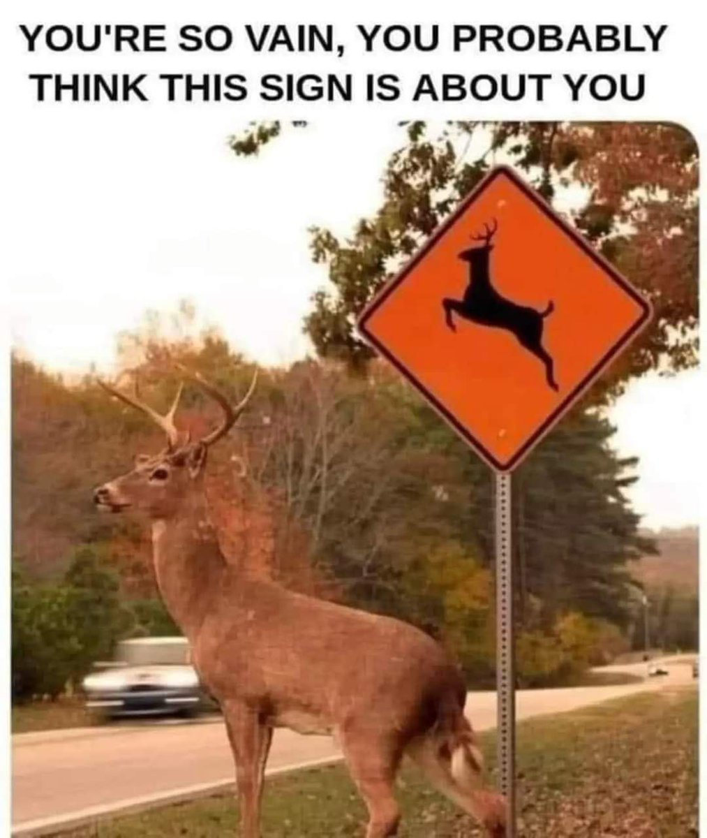 deershouldnt's tweet photo. https://t.co/OkbAKthvAx