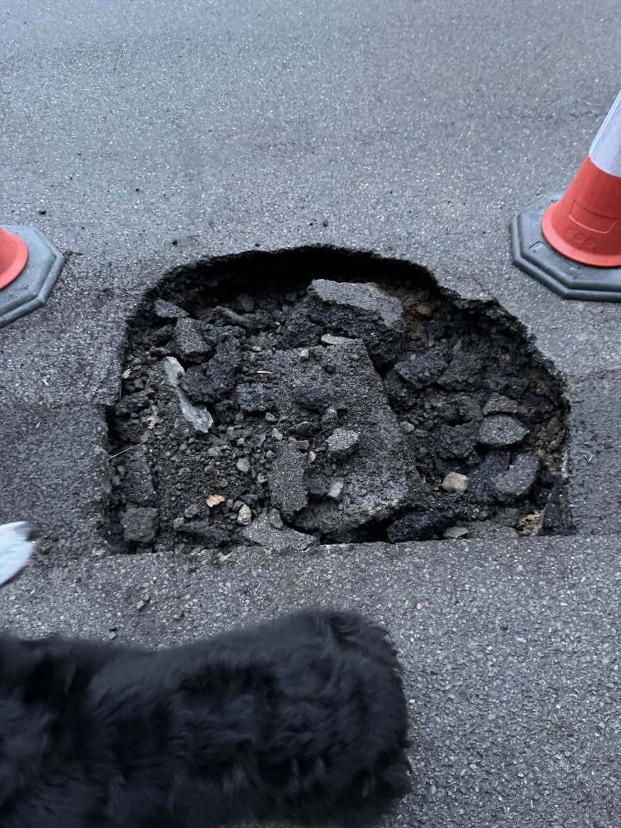 Andy Watts tweet media