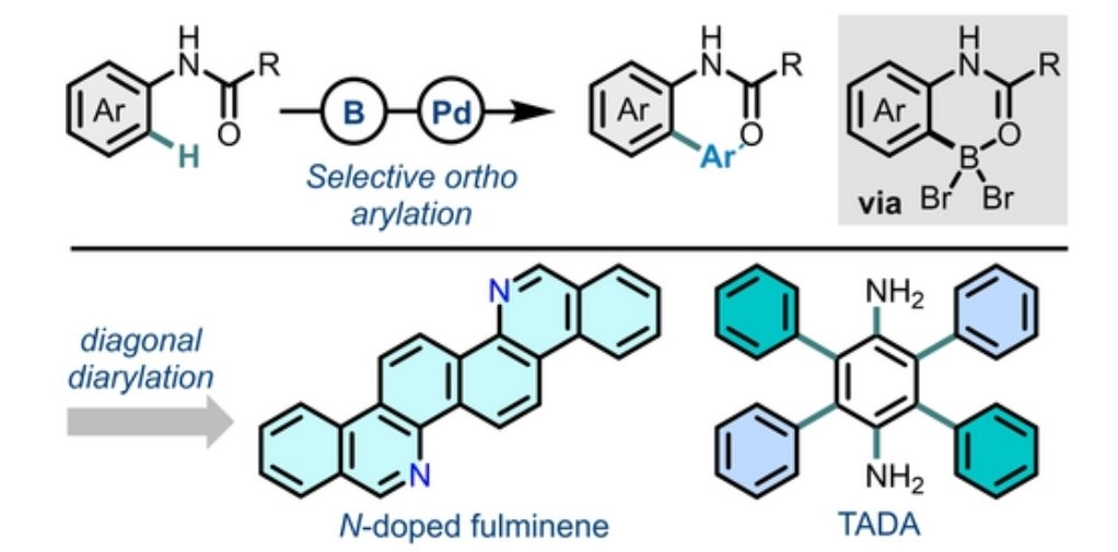 Ganesh Shinde (@ganeshdfb) on Twitter photo Proud to contribute to this innovative work on boron-driven ortho-arylation, enabling the creation of extraordinary molecules like N-doped fulminenes and TADAs. #Research #phd #boron
<a href="/Boron_Chemistry/">Boron-Chem-Research</a> <a href="/ChemEurJ/">ChemEurJ: Chemistry - A European Journal</a> …mistry-europe.onlinelibrary.wiley.com/doi/full/10.10… Proud to contribute to this innovative work on boron-driven ortho-arylation, enabling the creation of extraordinary molecules like N-doped fulminenes and TADAs. #Research #phd #boron
<a href="/Boron_Chemistry/">Boron-Chem-Research</a> <a href="/ChemEurJ/">ChemEurJ: Chemistry - A European Journal</a> …mistry-europe.onlinelibrary.wiley.com/doi/full/10.10…