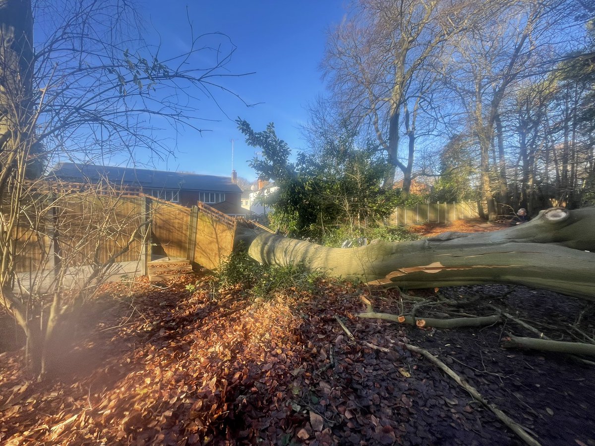 Whiffenpuff's tweet photo. Some might say unlucky but..
If it had fallen the other way it would have taken the house out. π±
Oxshott common taking the fall is much safer π¬ to doing no one was walking pass .
Wonder if they have a log burner π€ #BitWindy https://t.co/4xcpxizn75