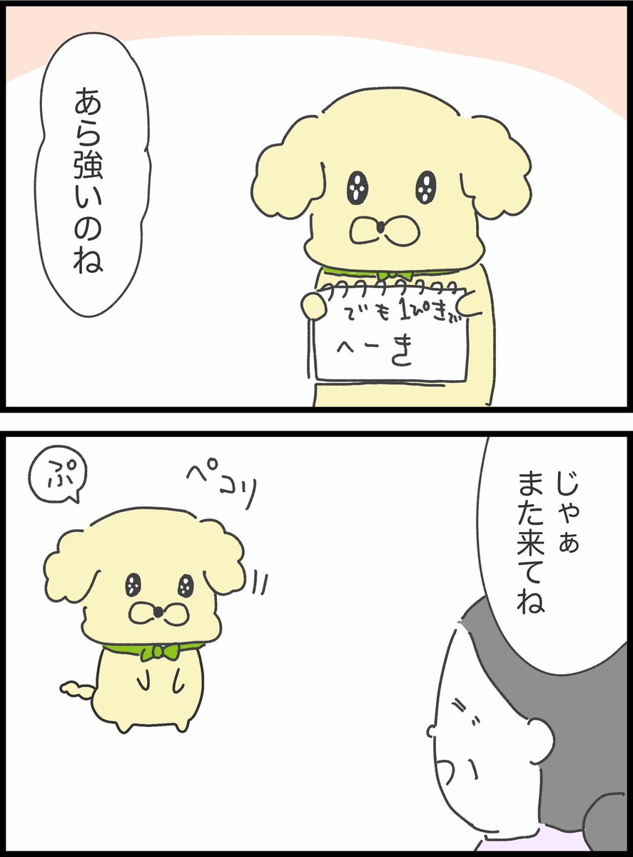 6/11 
