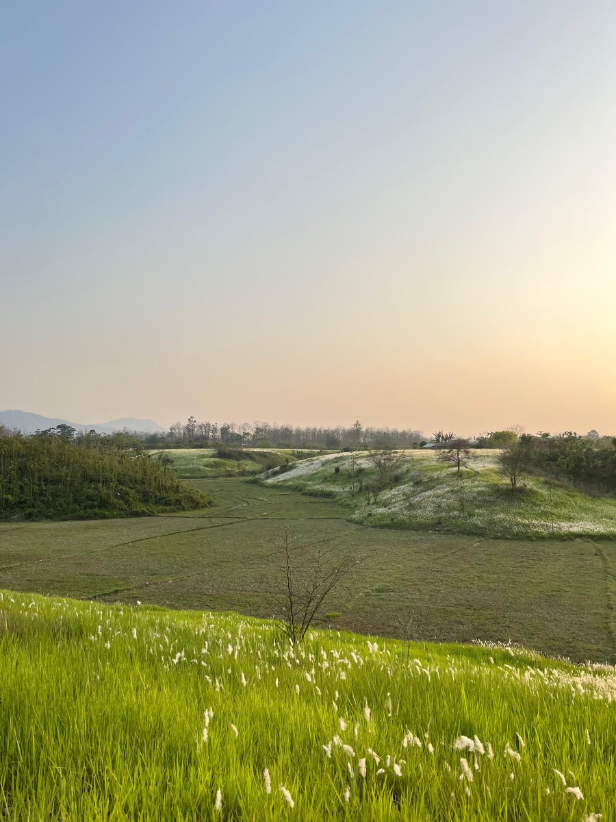 Visit_Niuland's tweet photo. Capture the Beauty of Niuland's Green Fields! The picturesque green grass fields of Niuland are a photographer's delight, with their vibrant colors, rolling hills, and serene atmosphere. #NiulandTourism #PhotographyParadise #GreenGrassFields
#MinistryofTourism https://t.co/yXy3Z4LNxk