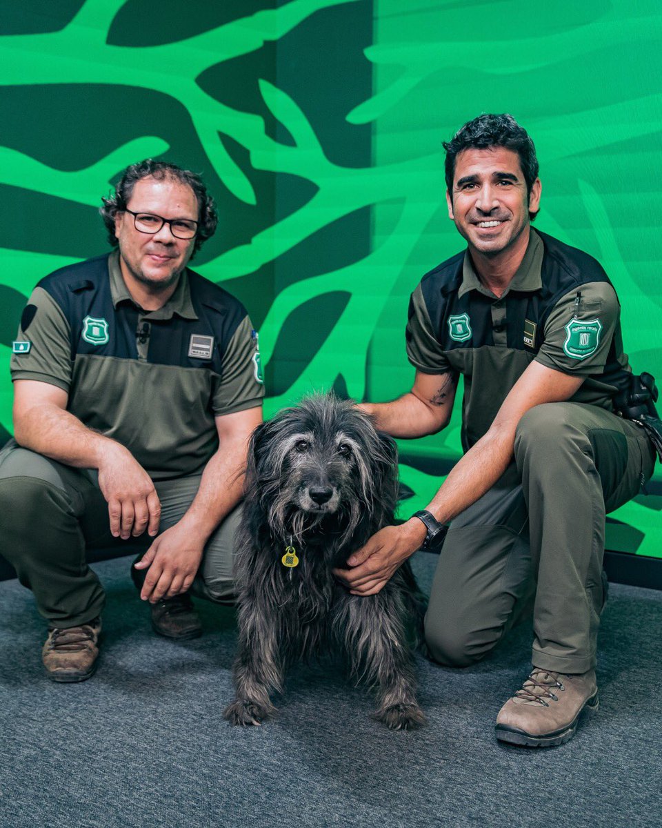 interiorcat's tweet photo. 📹 Capítol 6 d' "EN COS I ÀNIMA": Els agents rurals al front dels incendis 🌲

Com gestionen els @agentsruralscat els incendis i les negligències humanes? 🚨 "El 90% dels incendis són provocats per l'acció humana".

🎥 Mira'l aquí: https://t.co/65SYDb5rqF https://t.co/SMOJ3aL14V