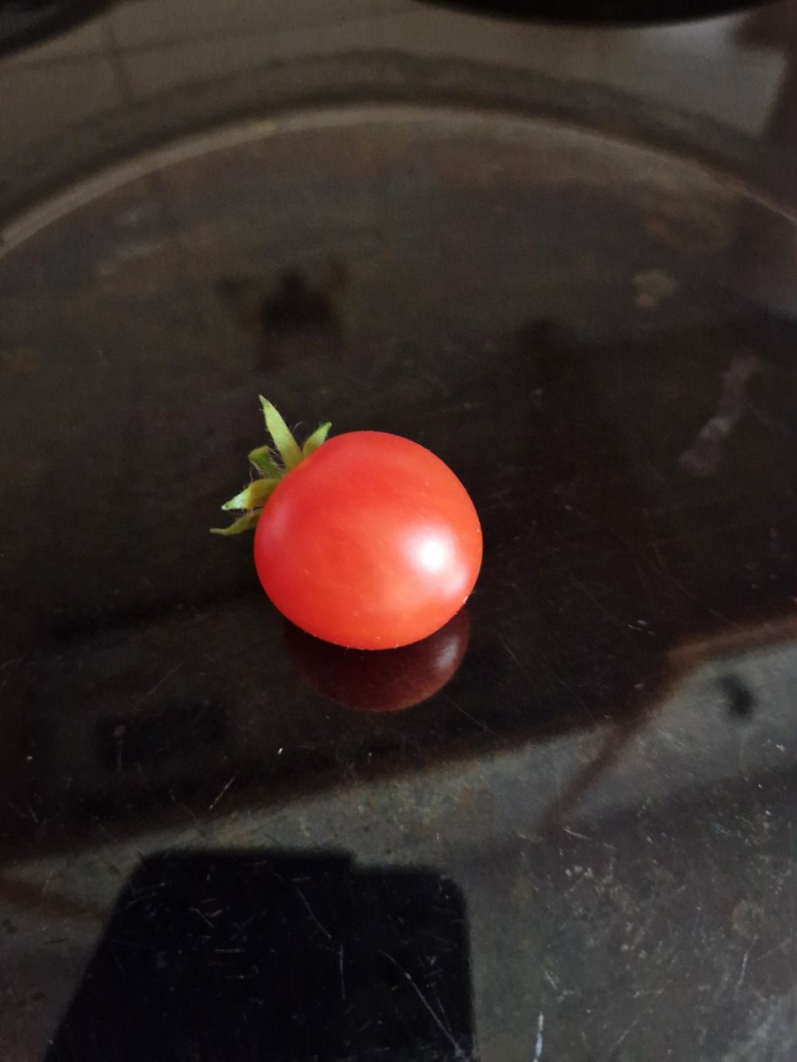 MistyFl60439423's tweet photo. @DailyPicTheme2 A #RedCherry tomato.
#DailyPictureTheme https://t.co/tL9WqP0DVH