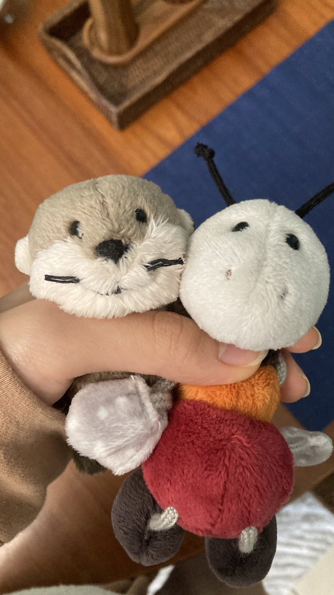 Otterchen's tweet photo. トナカイさんのチョコもらえて嬉しそうなわかめとエンジー❤️ https://t.co/BX4z3neHwS