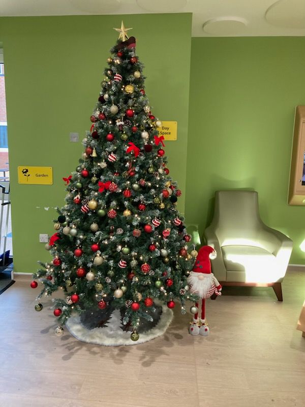 Robinward24's tweet photo. New ward, new christmas tree 🎄 thank you to all staff that donated their own money so the patients get a new christmas tree 🎄. ☃️
#nottshc
#robinward #newchristmastree 
#thebeststaffonrobinward https://t.co/d5eC7uzLxa