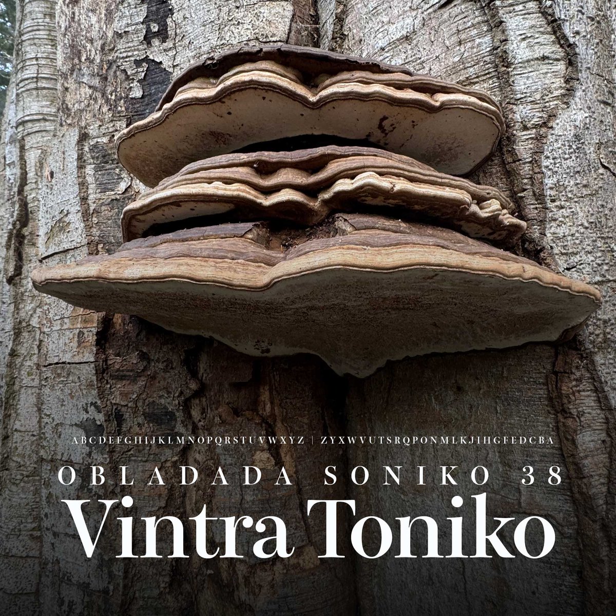 O B L A D A D A tweet media