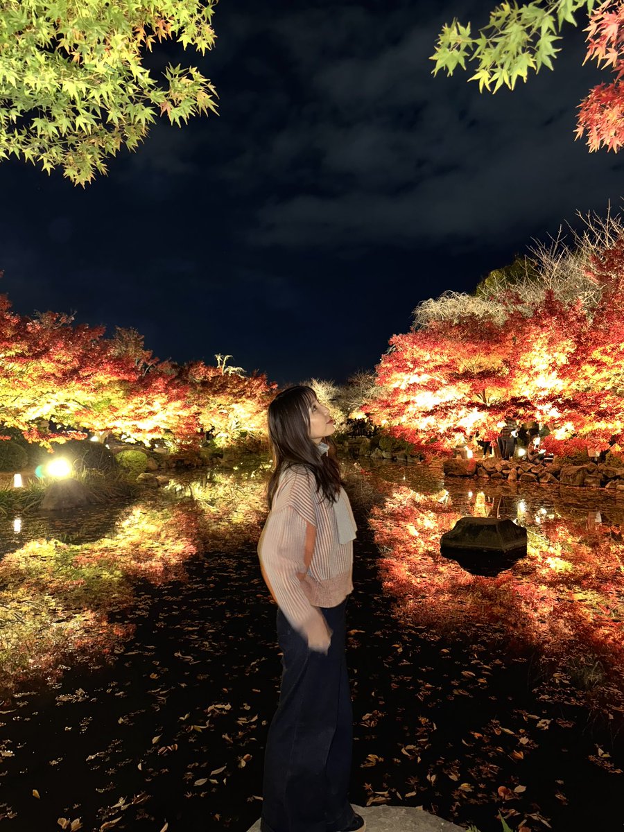 どや！！！どや！！！笑
全然紅葉狙いじゃなかったのにタイミング良かった🤣笑笑