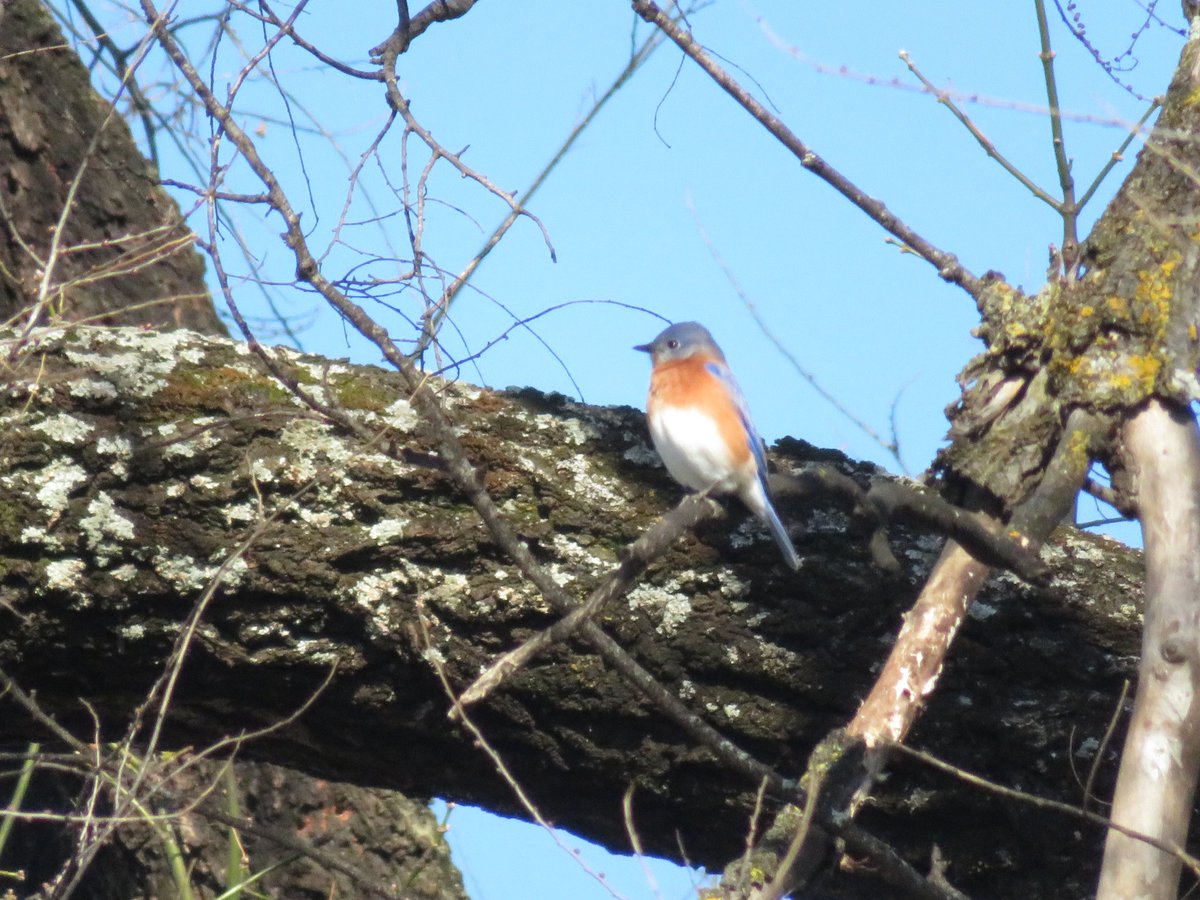 "Nothing endures but change." ~ #LucyMaudeMontgomery #thinkingoutloud #quickquotes #FridayFeeling #Endure #change