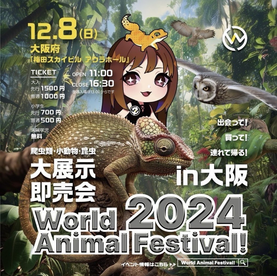 急遽ですがWorld Animal Festivalに出展させていただく事になりました🐍
ご来場予定のある方、是非お話しだけでもしに来て下さい♪