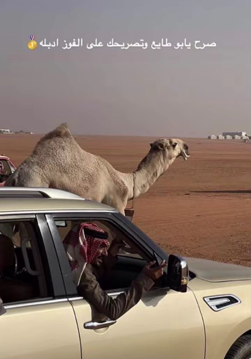 مشاركة جميل بن طايع العقيلي في شوط الفردي قعدان شقح
بالقعود "ضاوي" ..  سلالة حــراق الـضويلع 👏🏻