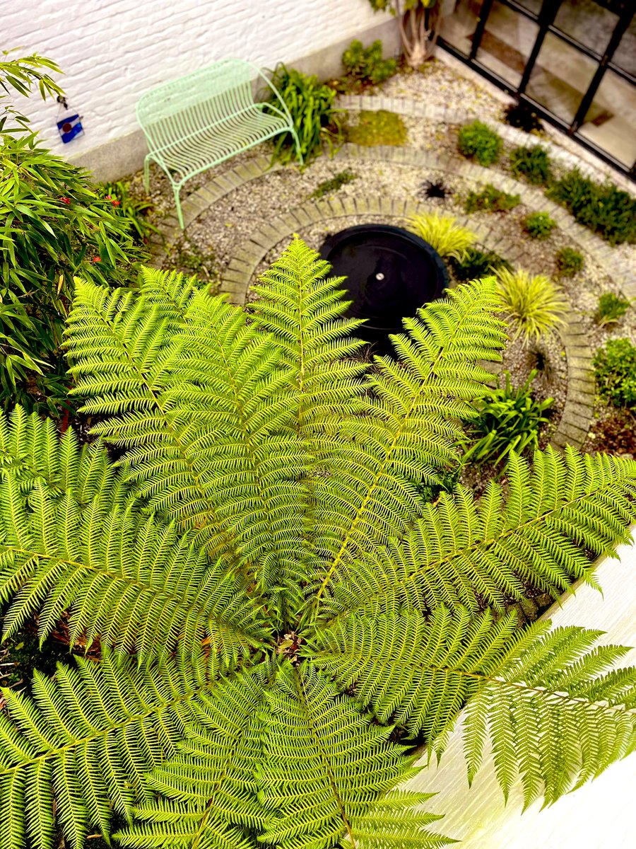 Catching up today in a couple of our smaller spaces, 2 gardens each featuring Isimar furniture along with a corten planter &amp; aluminium water table.

#smallspaces #gardendesign #bespoke #irishdesigner #landscaper #southdublin