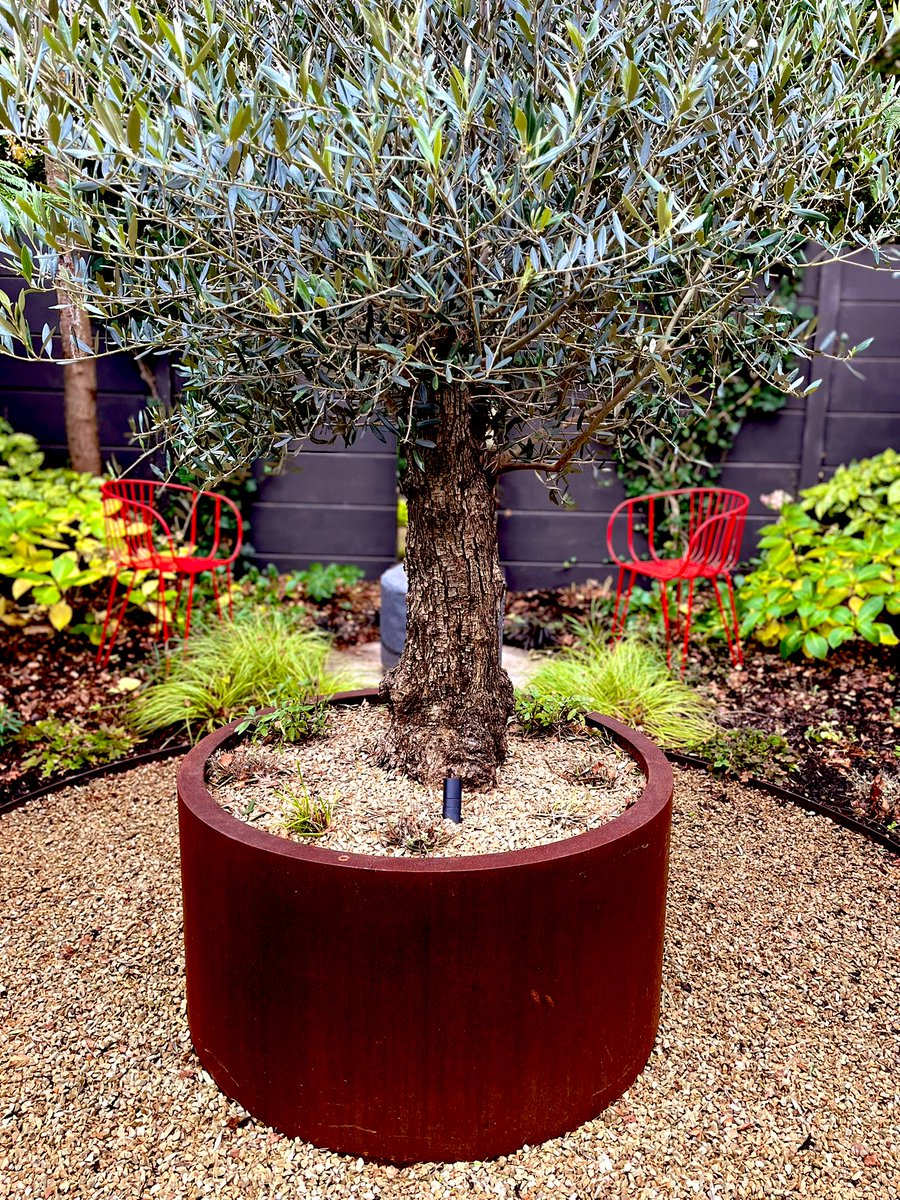 DamienKeane's tweet image. Catching up today in a couple of our smaller spaces, 2 gardens each featuring Isimar furniture along with a corten planter &amp;amp; aluminium water table.

#smallspaces #gardendesign #bespoke #irishdesigner #landscaper #southdublin