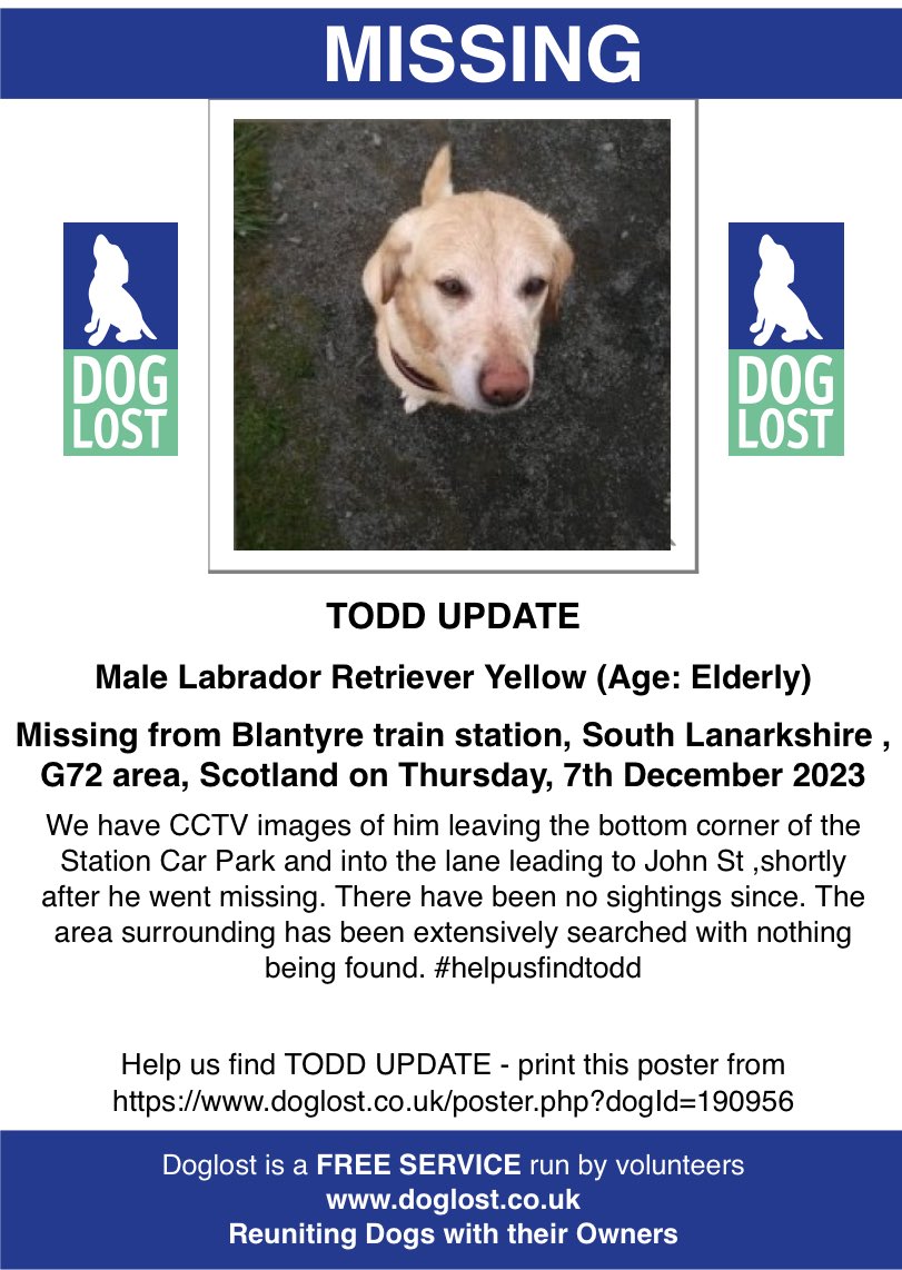 TODD STILL MISSING: 💔 A full year has past since my best friend got himself lost. I’ve not stopped looking and won't. Todd is more than my dog he's my partner in crime. If someone has him please let the old boy come home ⚓️

#Blantyre train station, South #Lanarkshire